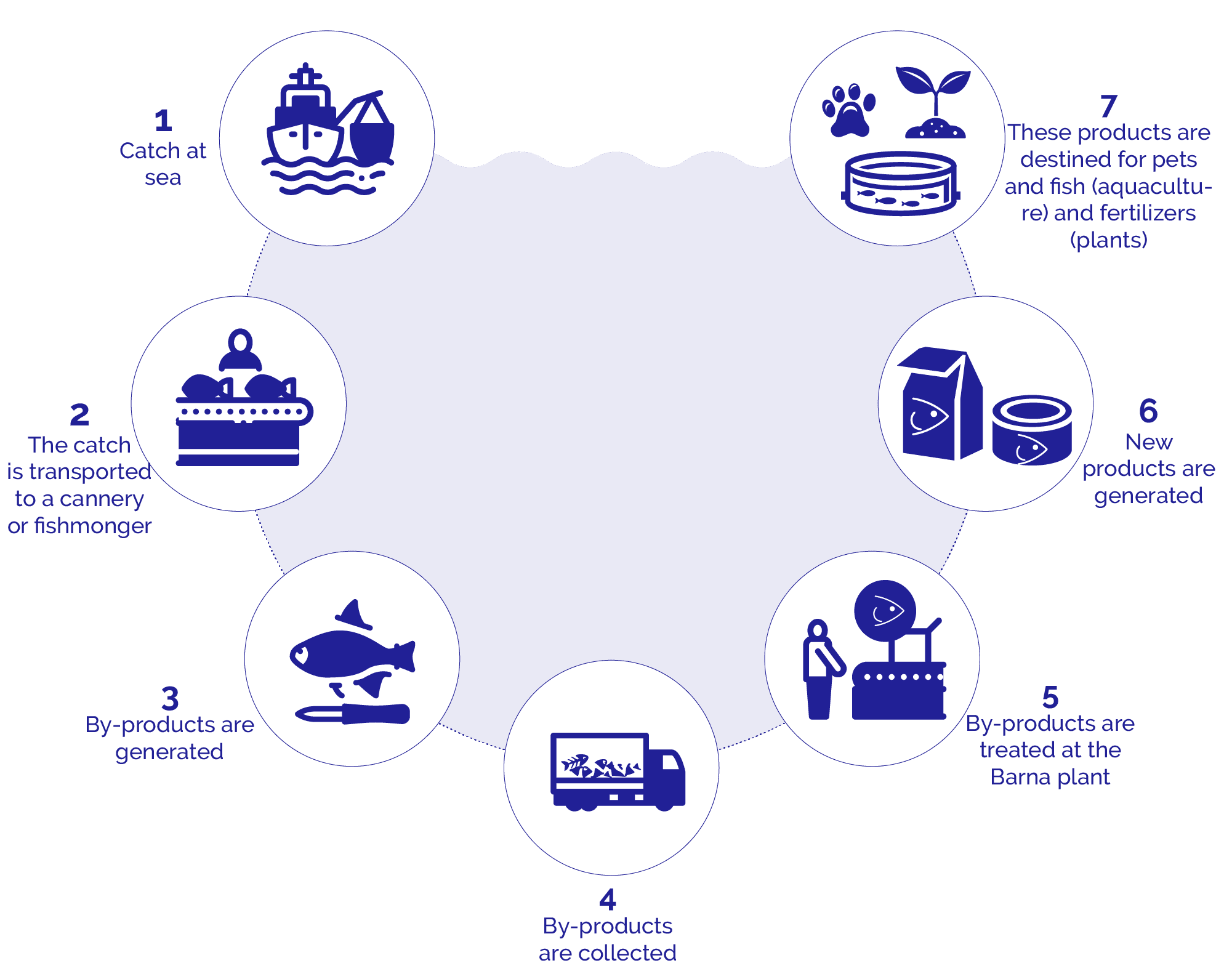 Catch at sea - The catch is transported to a cannery or fishmonger - By-products are generated - By-products are collected - By-products are treated at the Barna plant - New products are generated - These products are destined for pets and fish (aquaculture) and fertilizers (plants)